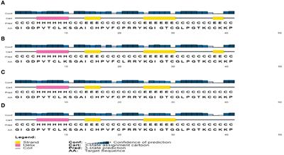 HBD-2 variants and SARS-CoV-2: New insights into inter-individual susceptibility